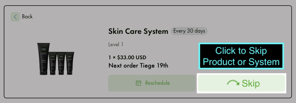 Skip Detail Grey.png